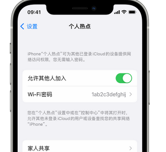 象州apple服务站点分享iPhone上个人热点丢失了怎么办 