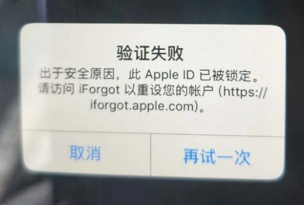 象州iPhone维修分享iPhone上正常登录或使用AppleID怎么办 