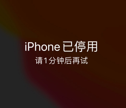 象州苹果手机维修分享:iPhone 显示“不可用”或“已停用”怎么办？还能保留数据吗？ 