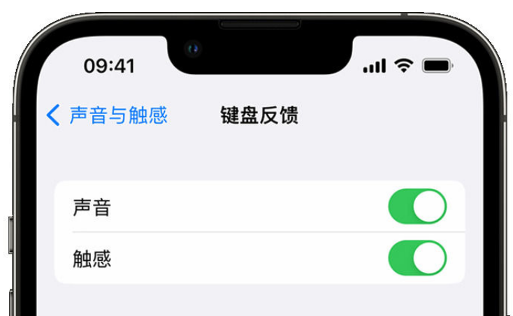 象州苹果手机维修分享iPhone 14触感键盘使用方法 