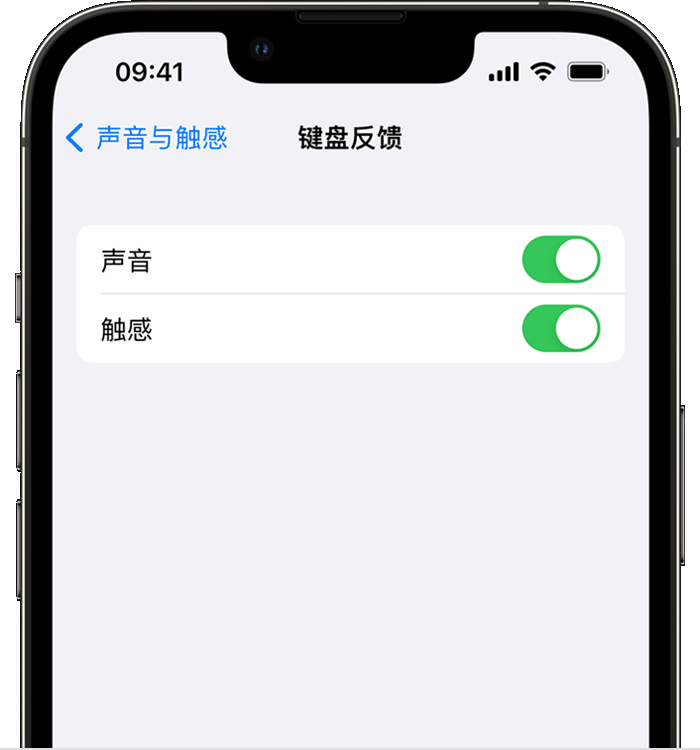 象州苹果14维修店分享如何在 iPhone 14 机型中使用触感键盘 