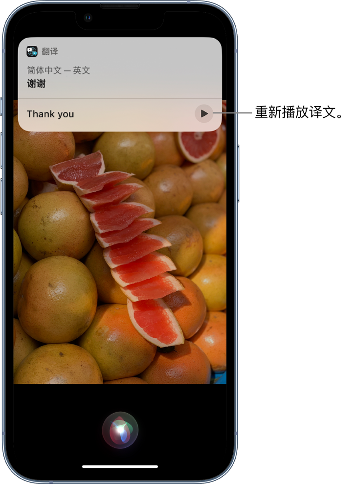 象州苹果14维修分享 iPhone 14 机型中使用 Siri：了解 Siri 能帮你做什么 