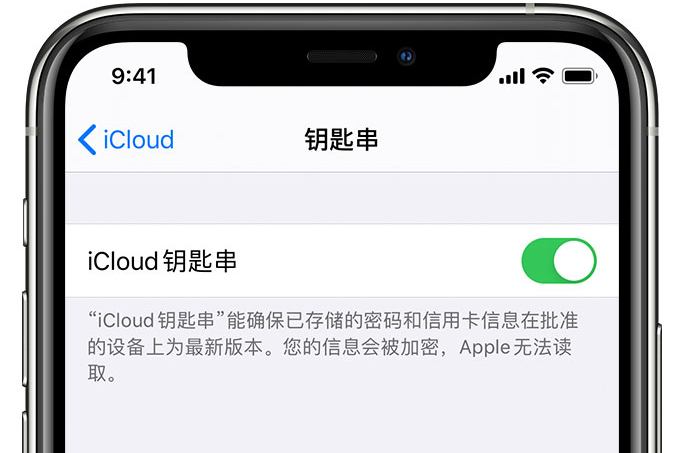 象州苹果手机维修分享在 iPhone 上开启 iCloud 钥匙串之后会储存哪些信息 